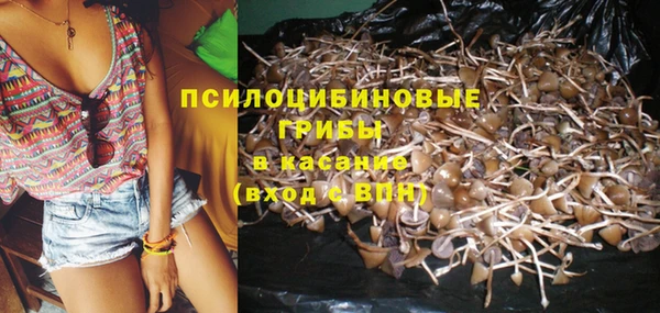 mdpv Новозыбков