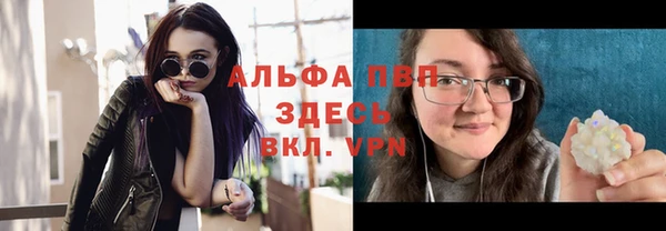 ПСИЛОЦИБИНОВЫЕ ГРИБЫ Новокубанск