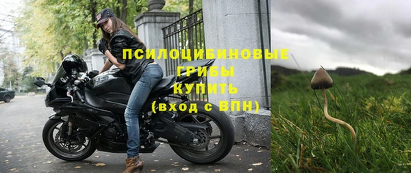 ПСИЛОЦИБИНОВЫЕ ГРИБЫ Новокубанск