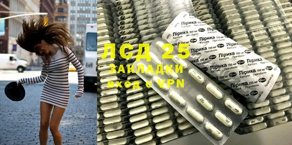 a pvp Новодвинск