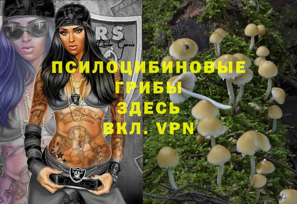mdpv Новозыбков