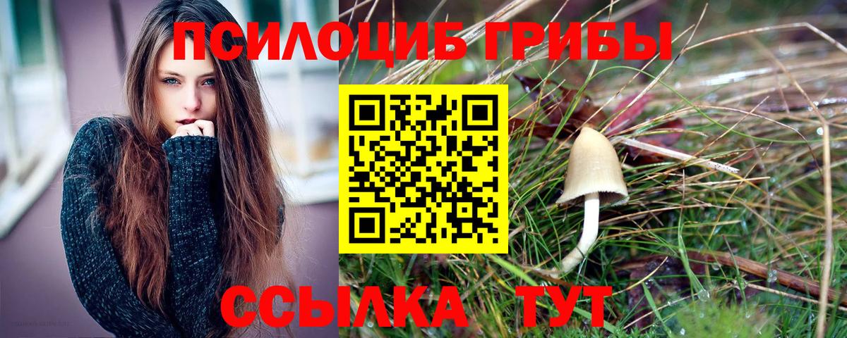 Псилоцибиновые грибы прущие грибы  Псилоцибиновые грибы GOLDEN TEACHER  Вход с VPN  Балабаново 